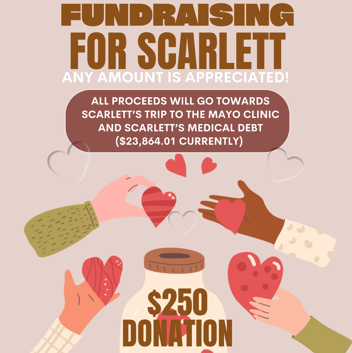 Scarlett’s fundraiser $250 Donation