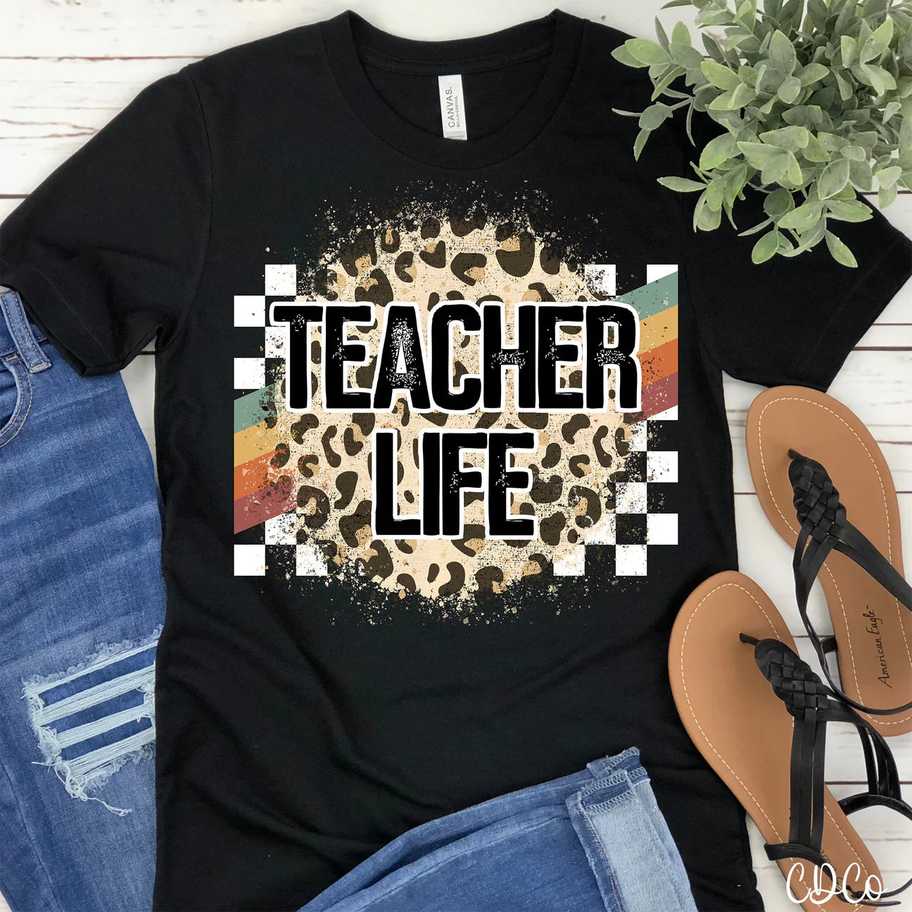 Teacher life rainbow racing