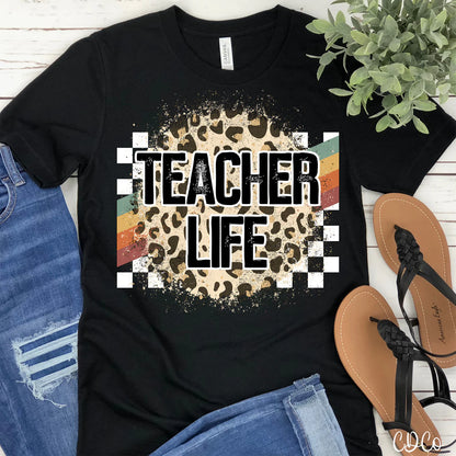 Teacher life rainbow racing