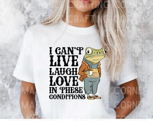 I can’t in these conditions frog