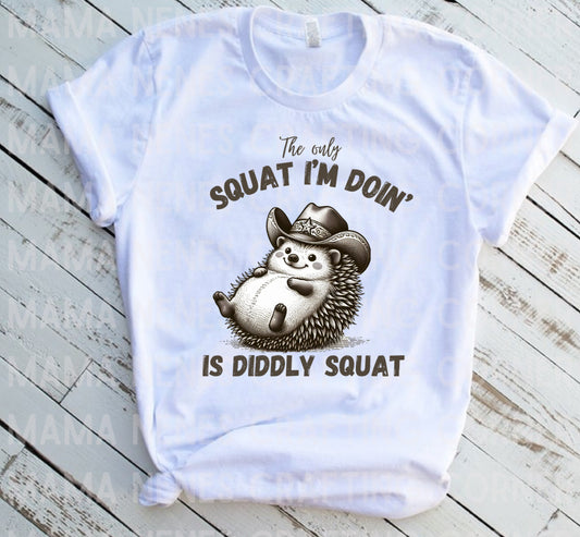Diddly squat